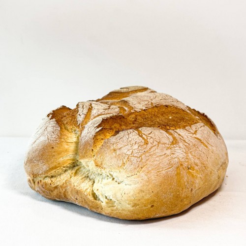 Pane